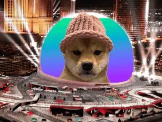 dogwifhat sphere