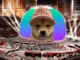dogwifhat sphere