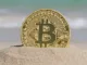 Bitcoin Summer