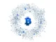 infografik btc trump