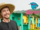MrBeast