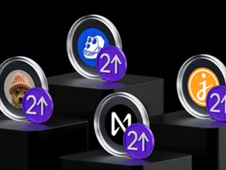 Bitpanda leveraged tokens