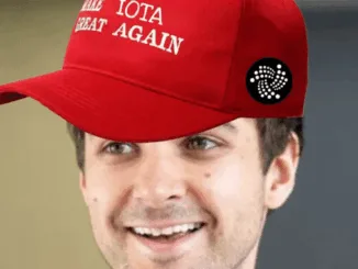 IOTA Dominik Schiener