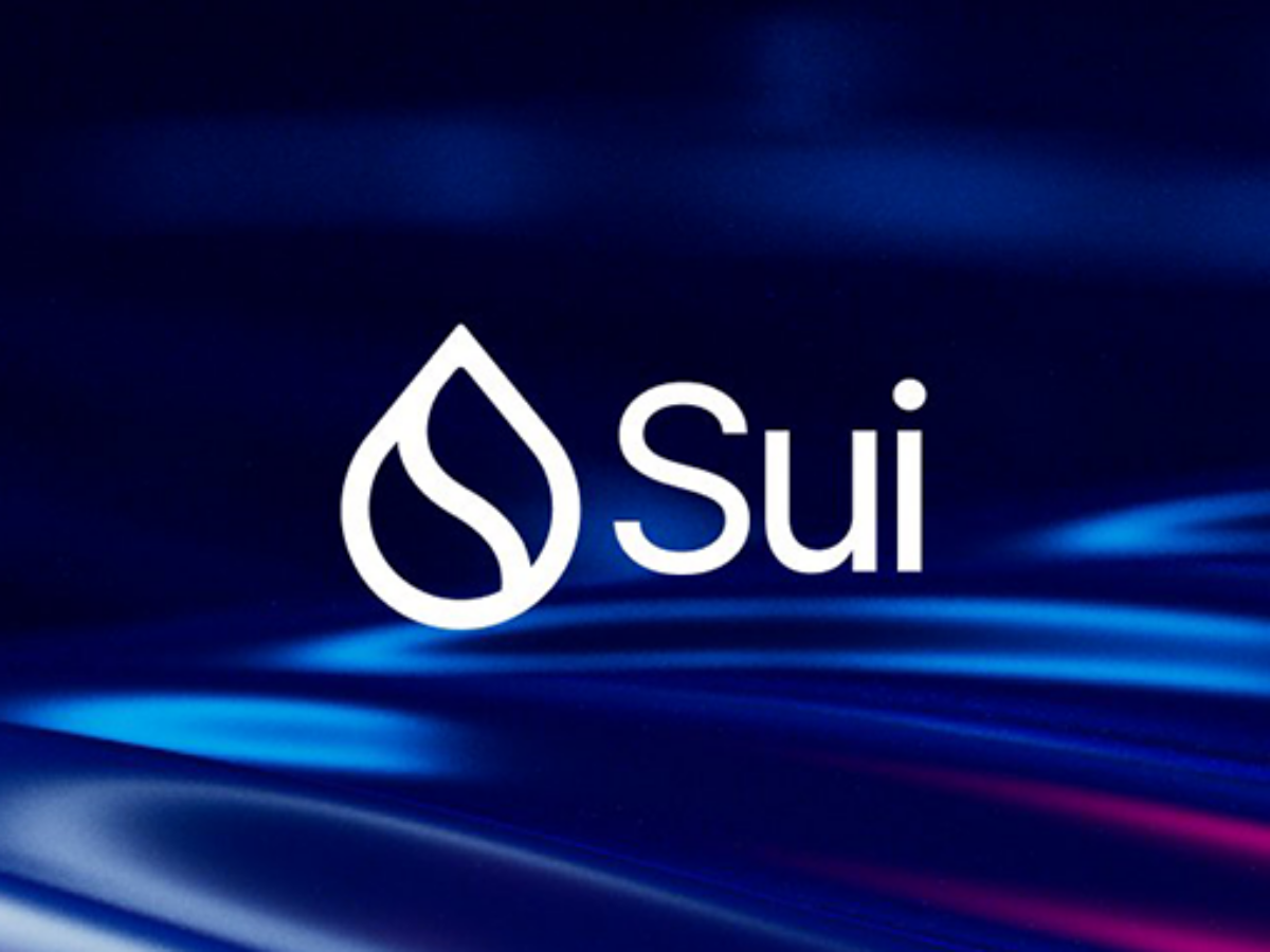 Sui-Netzwerk down: Wie ein Fehler die Blockchain-Welt erschütterte –  Block-Builders.de