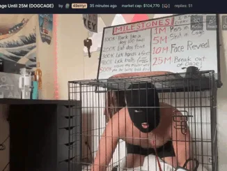 pump.fun dogcage
