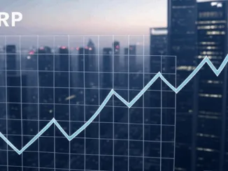XRP Jahresrückblick
