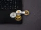 Krypto Wallet Studie