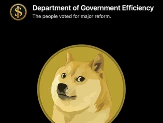 doge gov