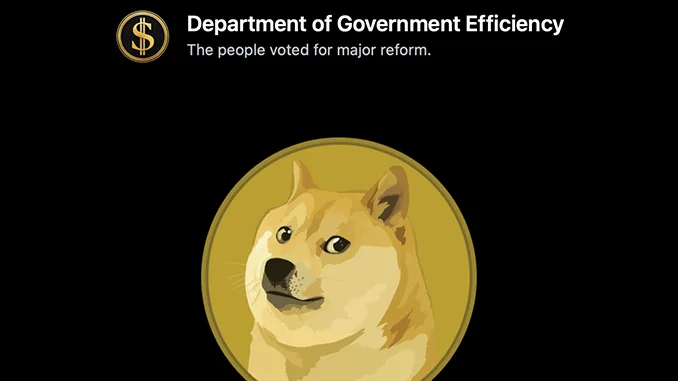 doge gov