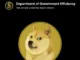 doge gov
