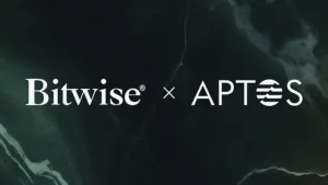 Bitwise aptos