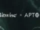 Bitwise aptos