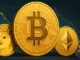 BTC Doge SOL