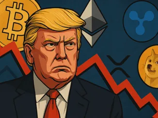 Bitcoin Doge XRP