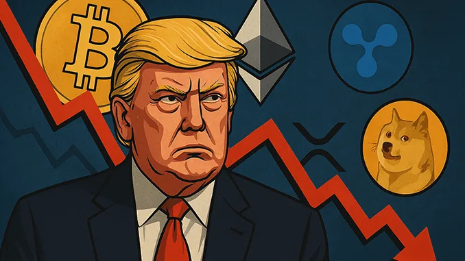 Bitcoin Doge XRP
