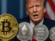 trump btc eth sol xrp
