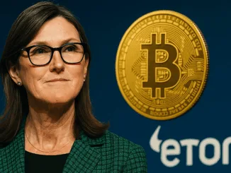 Cathie Wood etoro