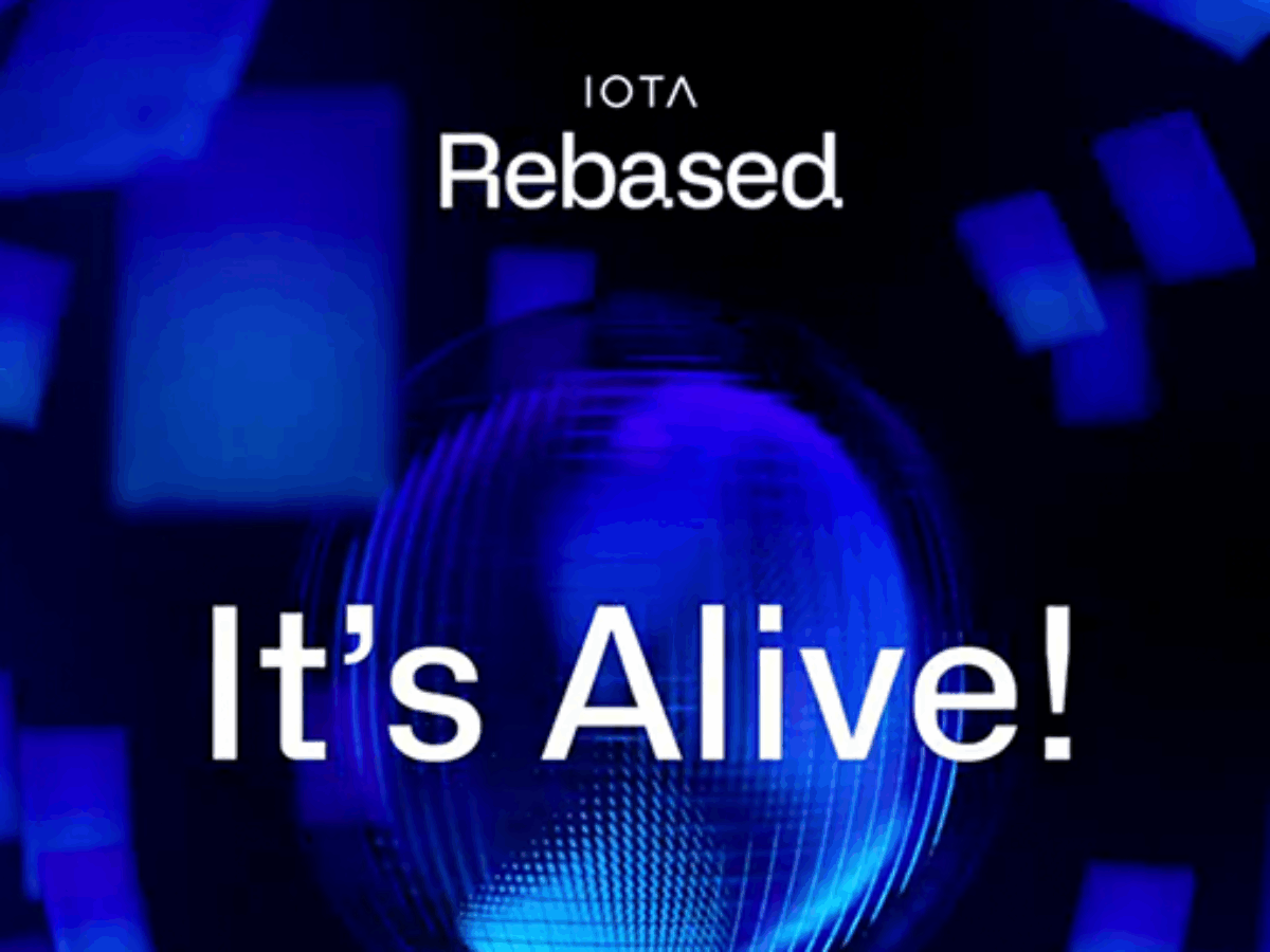 IOTA Rebased ist live – Kurs stagniert: Viel Lärm um nichts? –  Block-Builders.de