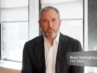 ripple Quartalsberichte