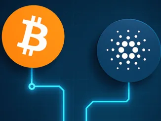 BTC ADA 2