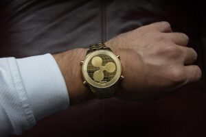 Ripple Studie