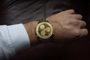 Ripple Studie