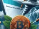 Bitcoin bleibt stabil trotz neuer US-Zölle – PNUT Token profitiert von Musk-Rant