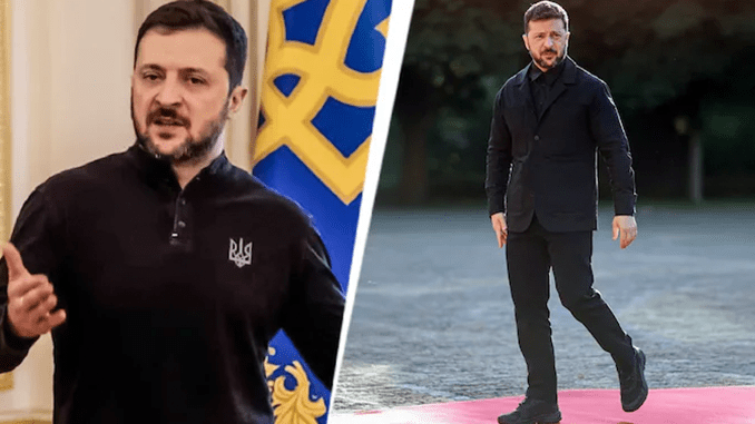 Zelensky suit
