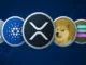 Altcoin etfs