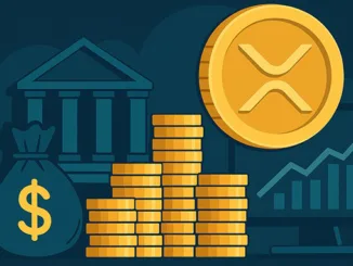 Ripple Investment