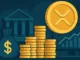 Ripple Investment