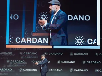 Cardano Berlin
