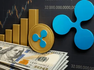Ripple investment