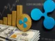 Ripple investment