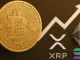 BTC Vanguard etf