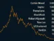 BTC prognosen 2025
