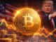 Bitcoin Jahresrückblick