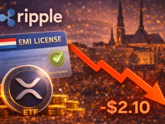 Ripple License