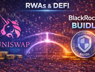 UNISWAP RWA